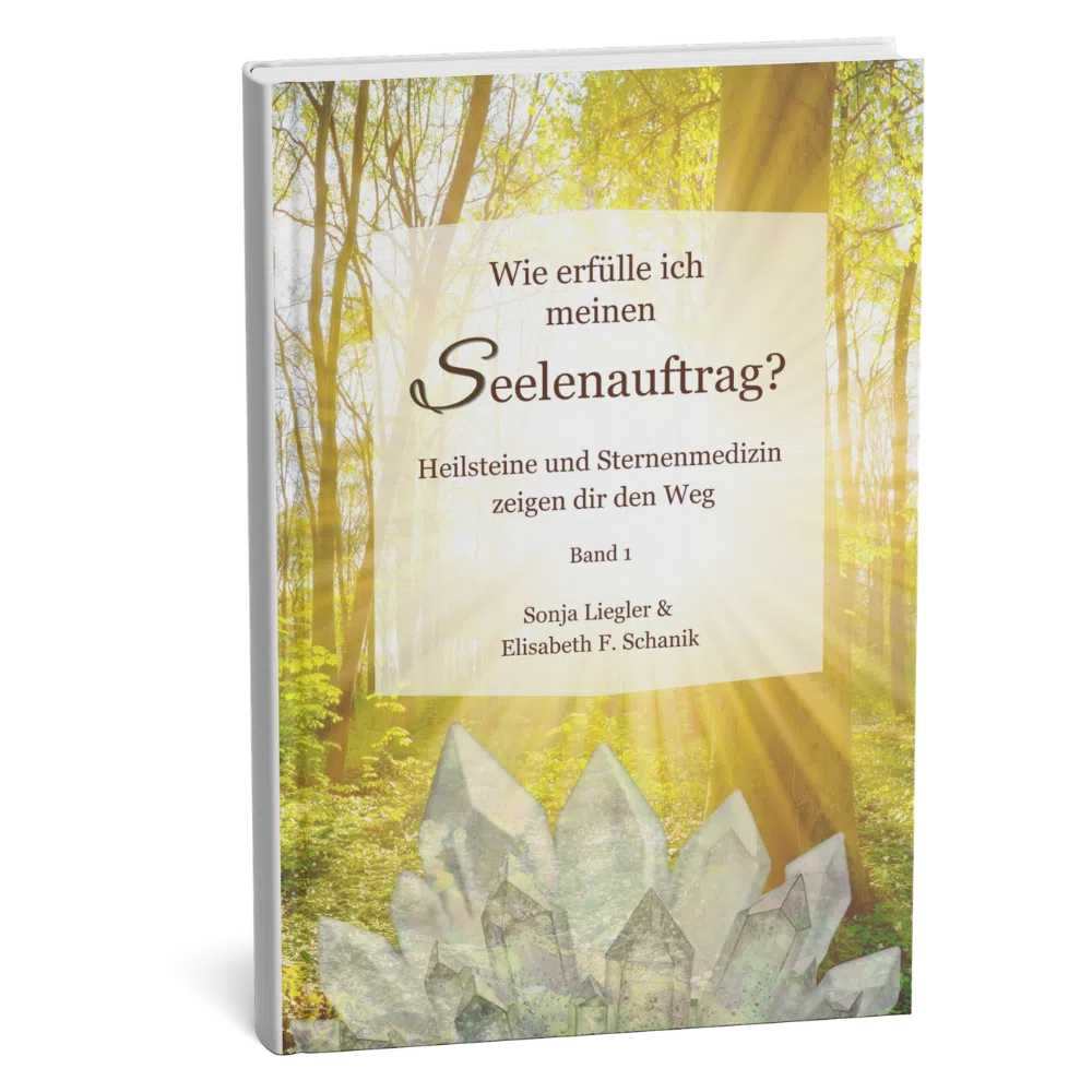 Buch-Seelenauftrag- Liegler-Schanik
