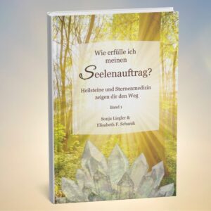 Dein-Seelenstein-Buch-Seelenauftrag