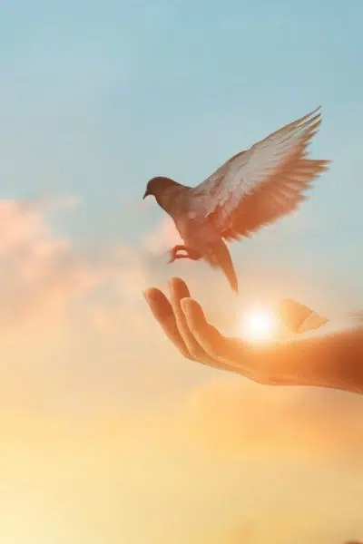 Dein-Seelenstein-Kristallheilung-Energiearbeit-mit-Heilsteinen