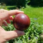 Dein-Seelenstein-Produkt-Jaspis-rot-Kugel3 Dein-Seelenstein-Produkt-Jaspis-rot-Kugel