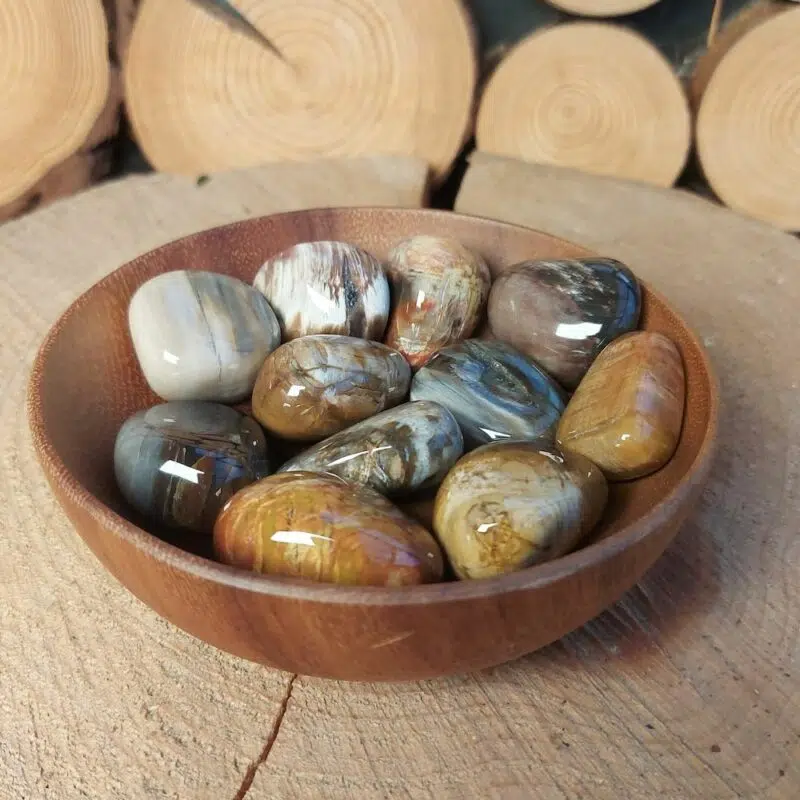 Dein-Seelenstein-Produkt-Versteinertes-Holz-Trommelstein