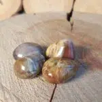 Dein-Seelenstein-Produkt-Versteinertes-Holz-Trommelstein