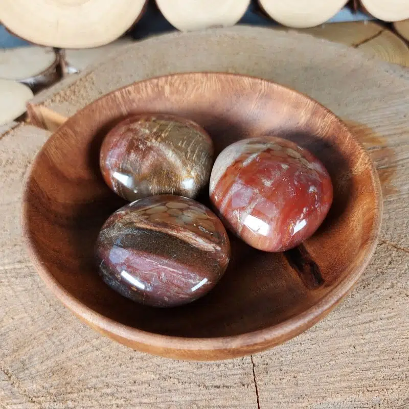 Dein-Seelenstein-Produkt-versteinertes-Holz-Handstein Dein-Seelenstein-Produkt-versteinertes-Holz-Handstein