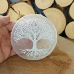 Dein-Seelenstein-Selenit-Platte-Baum-rund-2 Dein-Seelenstein-Selenit-Platte-Baum-rund