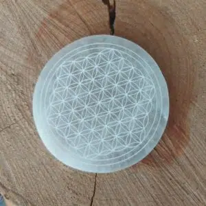 Dein-Seelenstein-Selenit-Platte-Blume-des-Lebens