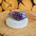 Dein-Seelenstein-Selenit-Platte-Torus-rund-6 Dein-Seelenstein-Selenit-Platte-Torus-rund