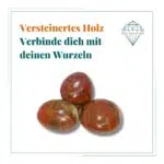 Dein-Seelenstein-versteinertes-Holz-Spruch Dein-Seelenstein-versteinertes-Holz-Spruch