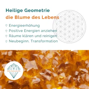 Geometrie Blume des Lebens