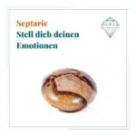 Dein-Seelenstein-Septarie-Spruch Dein-Seelenstein-Septarie-Spruch