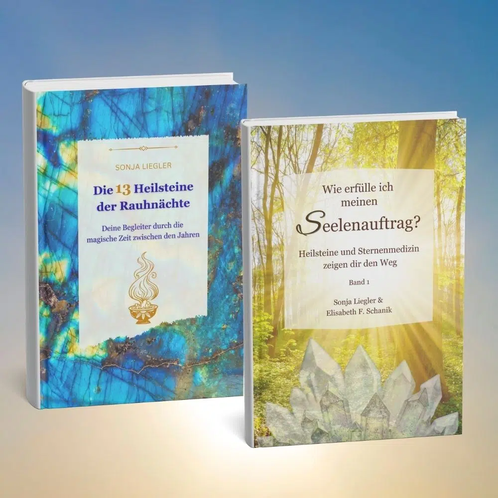 Buch-Seelenauftrag- Liegler-Schanik