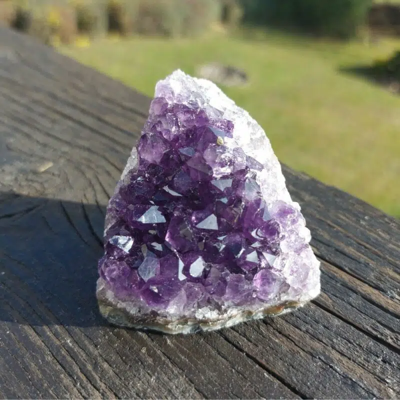 Seelenstein-Amethyst-Druse-klein-20-1 Seelenstein-Amethyst-Druse-klein