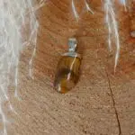 Seelenstein-Anhänger-Tigerauge-Trommelstein-1 Seelenstein-Anhänger-Tigerauge-Trommelstein