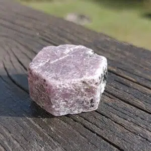 Seelenstein-Rubin-Rohstein