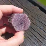 Seelenstein-Rubin-Rohstein