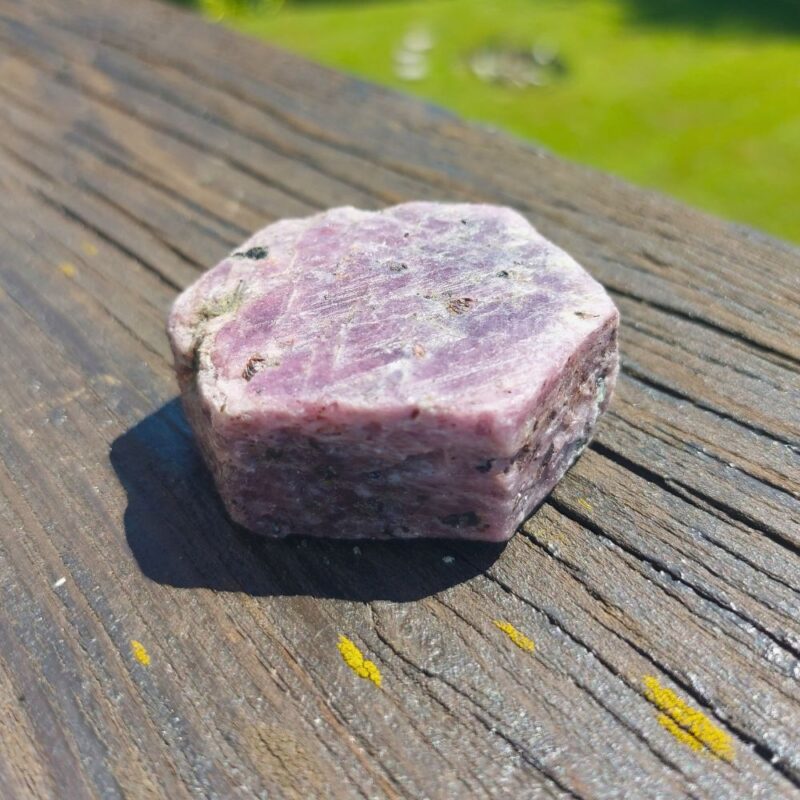 Seelenstein-Rubin-Rohstein-16-1 Seelenstein-Rubin-Rohstein