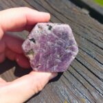 Seelenstein-Rubin-Rohstein-16-2 Seelenstein-Rubin-Rohstein