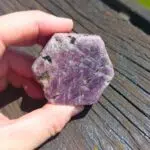 Seelenstein-Rubin-Rohstein-16-2 Seelenstein-Rubin-Rohstein