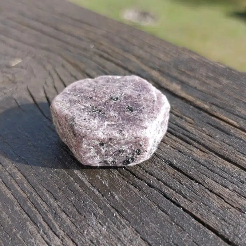 Seelenstein-Rubin-Rohstein