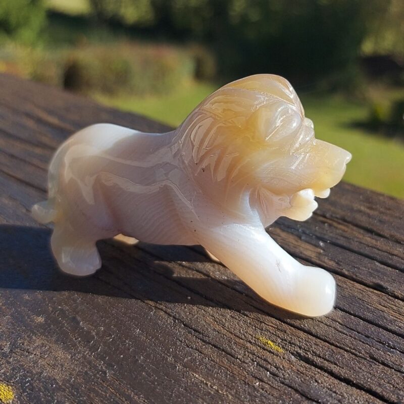 Seelenstein-Spezialstein-Achat-Löwe