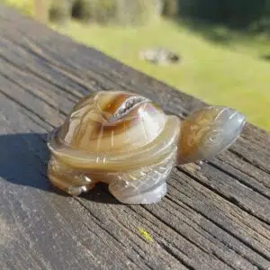 Seelenstein-Spezialstein-Achat-Schildkröte