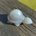 Seelenstein-Spezialstein-Achat-Schildkröte-2-1 Seelenstein-Spezialstein-Achat-Schildkröte