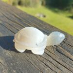 Seelenstein-Spezialstein-Achat-Schildkröte