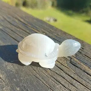 Seelenstein-Spezialstein-Achat-Schildkröte