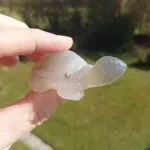 Seelenstein-Spezialstein-Achat-Schildkröte