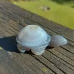 Seelenstein-Spezialstein-Achat-Schildkröte-4-1 Seelenstein-Spezialstein-Achat-Schildkröte