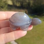 Seelenstein-Spezialstein-Achat-Schildkröte