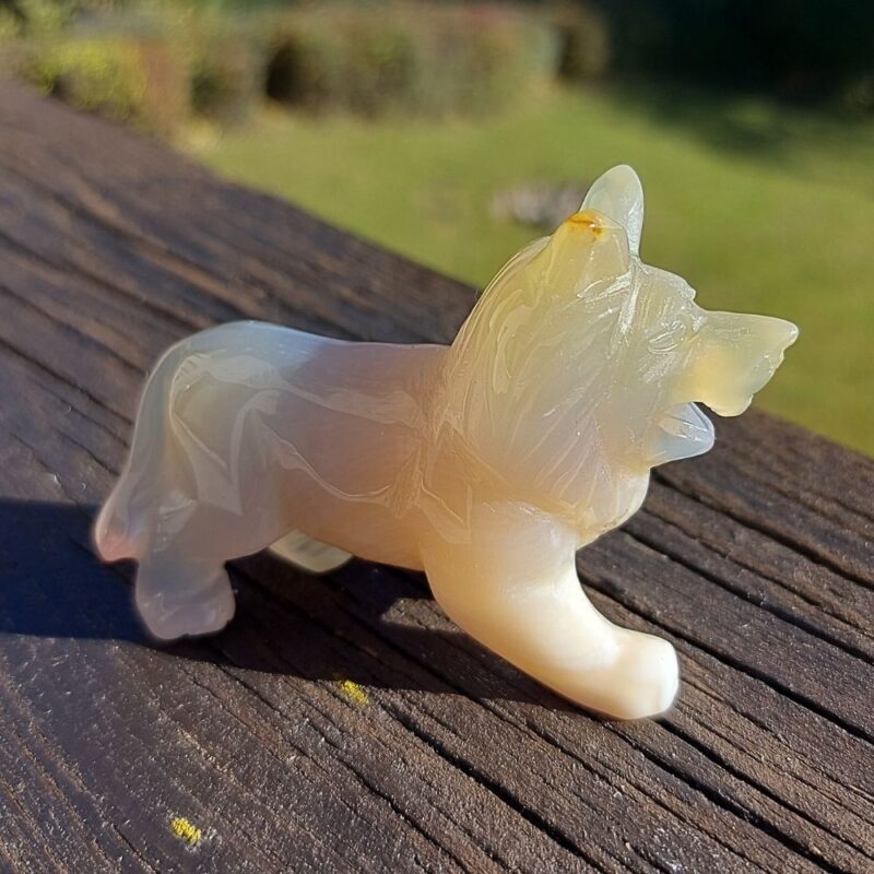 Seelenstein-Spezialstein-Achat-Wolf