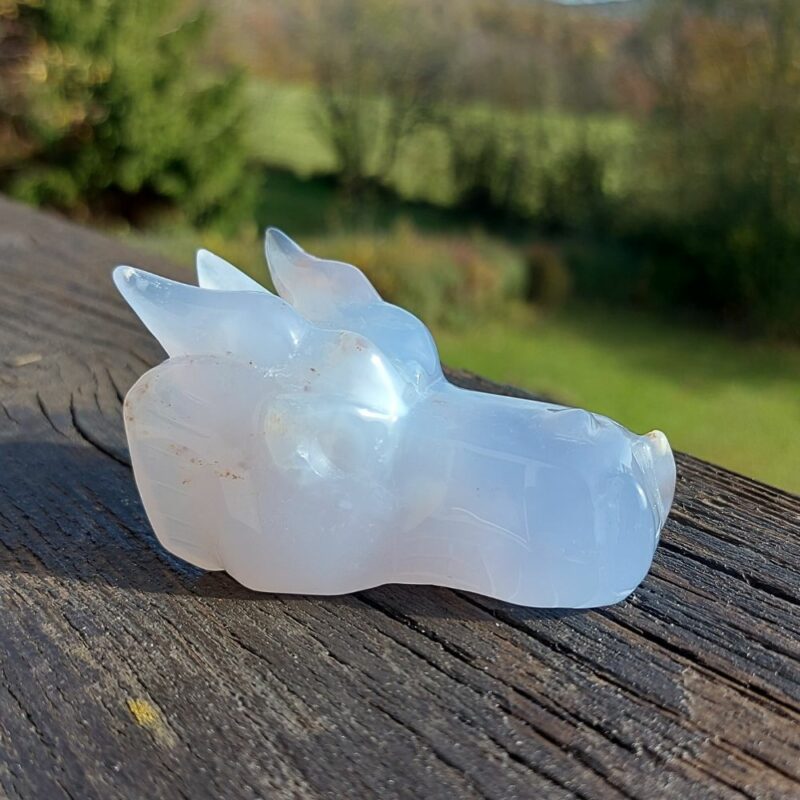 Seelenstein-Spezialstein-Chalcedon-Drachenkopf