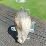 Seelenstein-Spezialstein-Citrin-Cluster-37-1 Seelenstein-Spezialstein-Citrin-Cluster