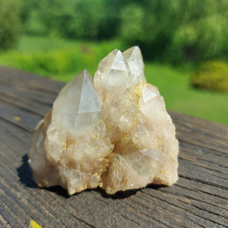 Seelenstein-Spezialstein-Citrin-Cluster