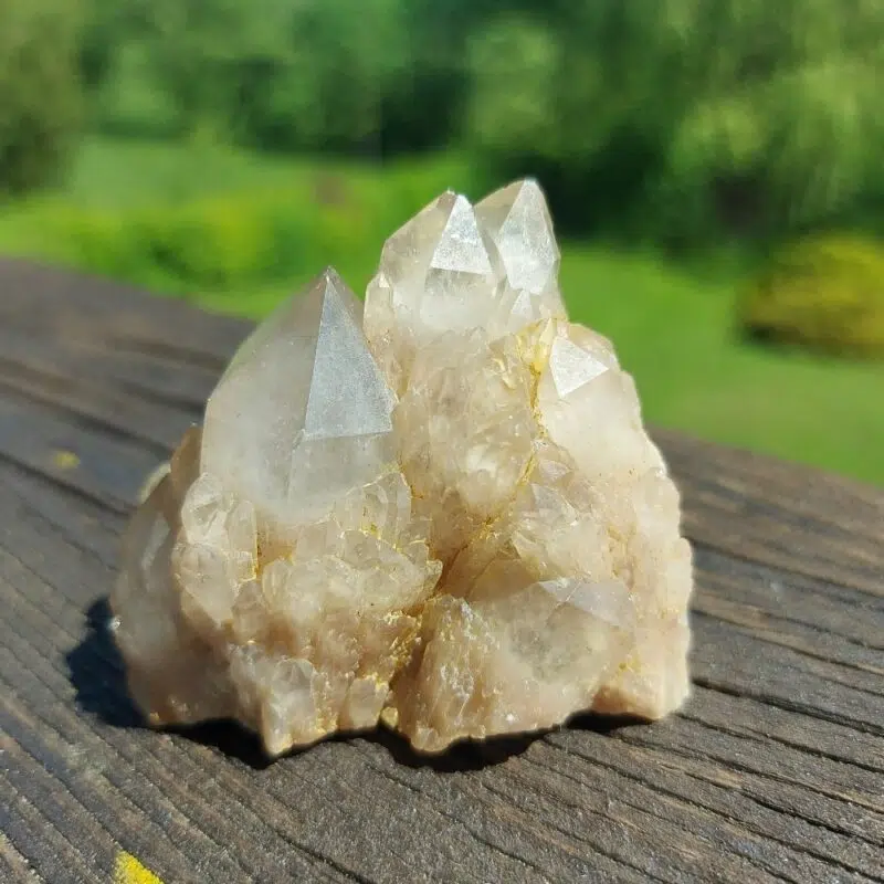 Seelenstein-Spezialstein-Citrin-Cluster