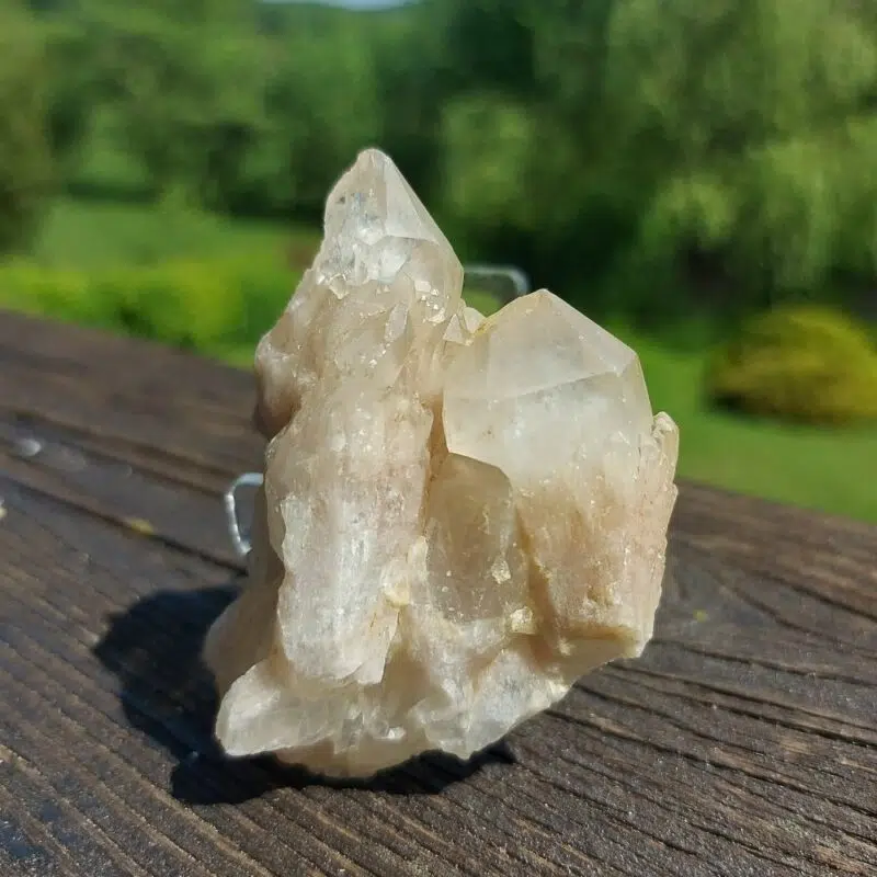 Seelenstein-Spezialstein-Citrin-Cluster-44-1 Seelenstein-Spezialstein-Citrin-Cluster