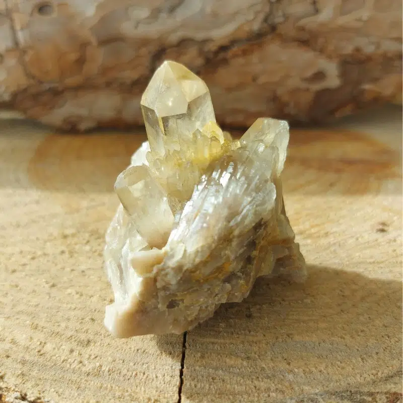 Seelenstein-Spezialstein-Citrin-Cluster-9-1 Seelenstein-Spezialstein-Citrin-Cluster