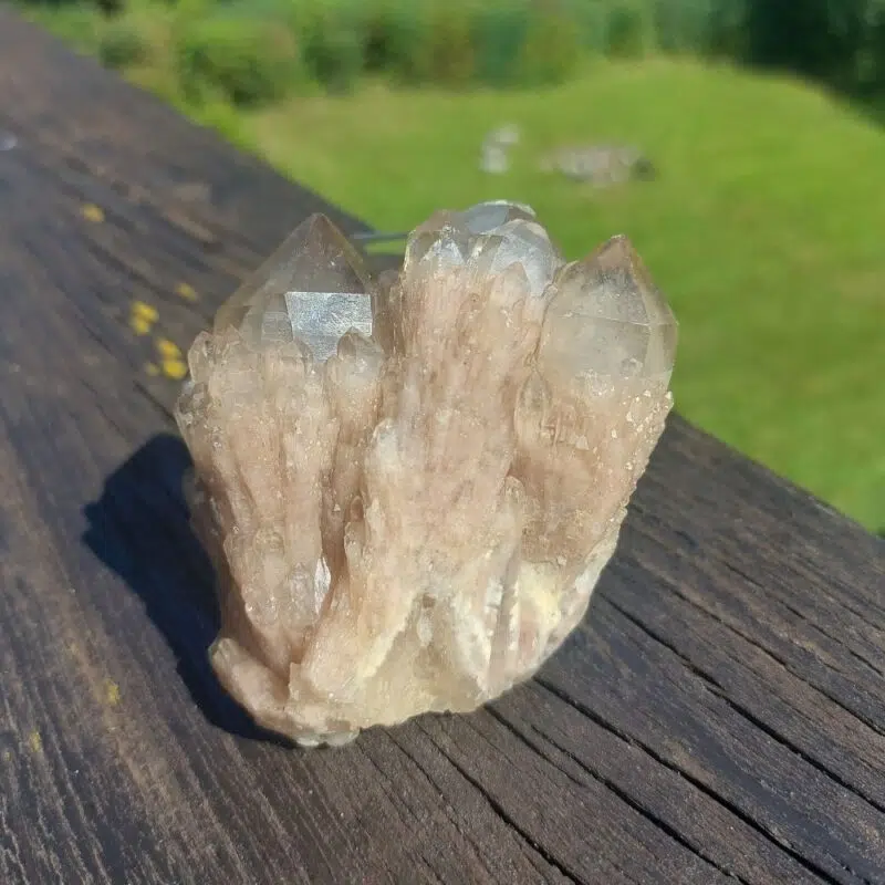 Seelenstein-Spezialstein-Citrine-Cluster-54-1 Seelenstein-Spezialstein-Citrine-Cluster