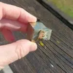 Seelenstein-Spezialstein-Pyrit-50-2 Seelenstein-Spezialstein-Pyrit