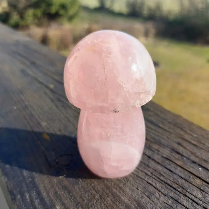 Seelenstein-Spezialstein-Rosenquarz-Pilz