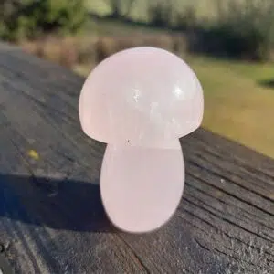 Seelenstein-Spezialstein-Rosenquarz-Pilz