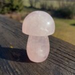 Seelenstein-Spezialstein-Rosenquarz-Pilz