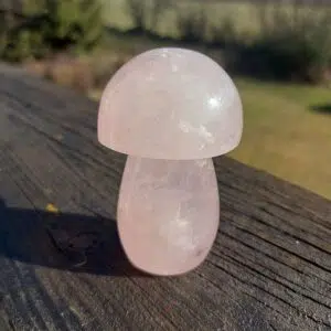 Seelenstein-Spezialstein-Rosenquarz-Pilz