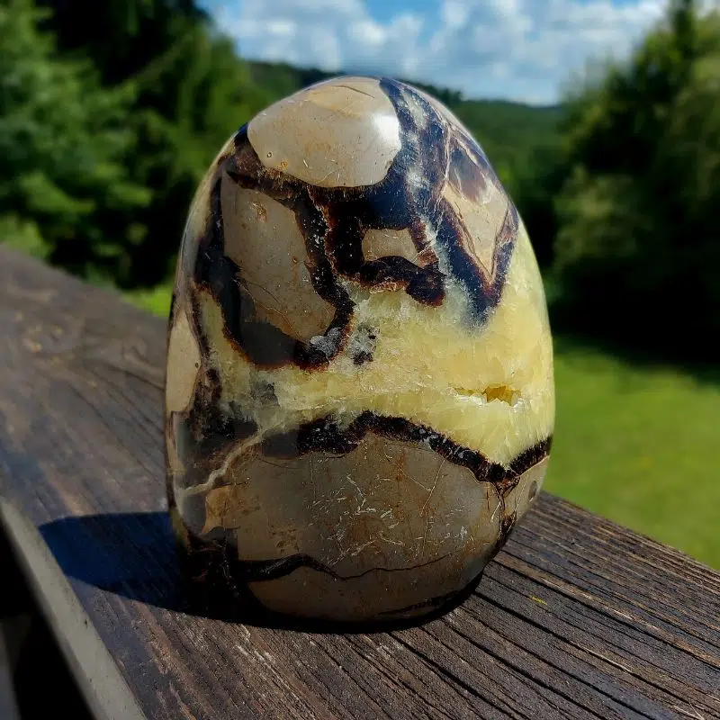 Seelenstein-Spezialstein-Septarie-1-1 Seelenstein-Spezialstein-Septarie