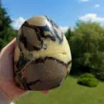 Seelenstein-Spezialstein-Septarie-1-3 Seelenstein-Spezialstein-Septarie