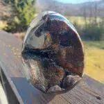 Seelenstein-Spezialstein-Septarie-Drachenei