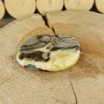 Seelenstein-Spezialstein-Septarie-Scheibe