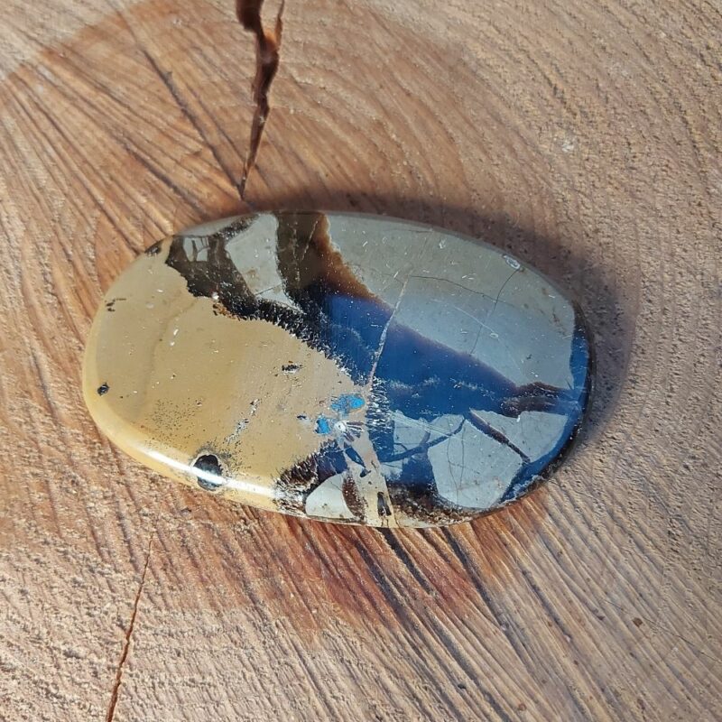 Seelenstein-Spezialstein-Septarie-Scheibe