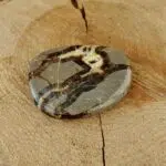 Seelenstein-Spezialstein-Septarie-Scheibe