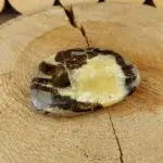 Seelenstein-Spezialstein-Septarie-Scheibe